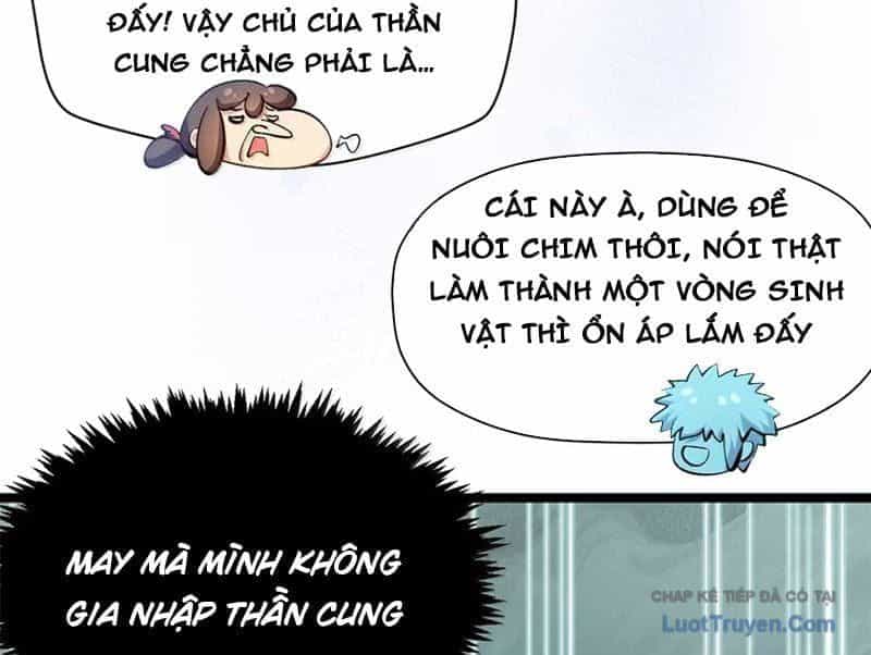 Đỉnh Cấp Khí Vận, Lặng Lẽ Tu Luyện Ngàn Năm - Chương 285 - ảnh 122