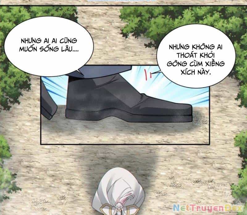Đồ Đệ Của Ta Đều Là Đại Phản Phái - Chương 327 - ảnh 15