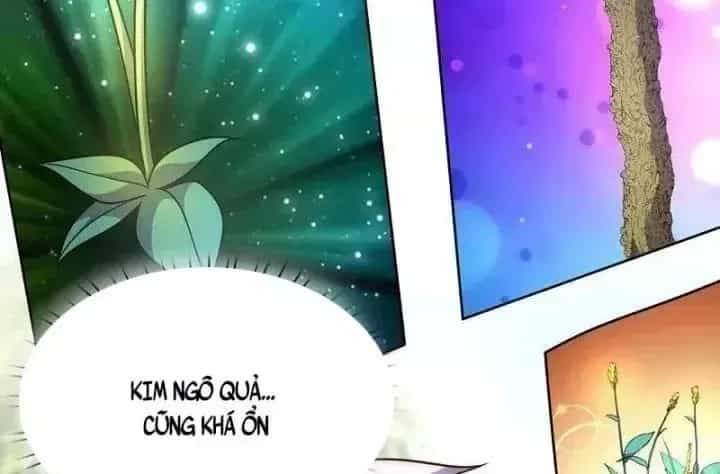 Đô Thị Chi Nghịch Thiên Tiên Tôn - Chương 382 - ảnh 50