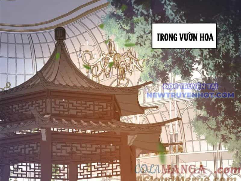 Đô Thị Cực Phẩm Y Thần - Chương 227 - ảnh 3