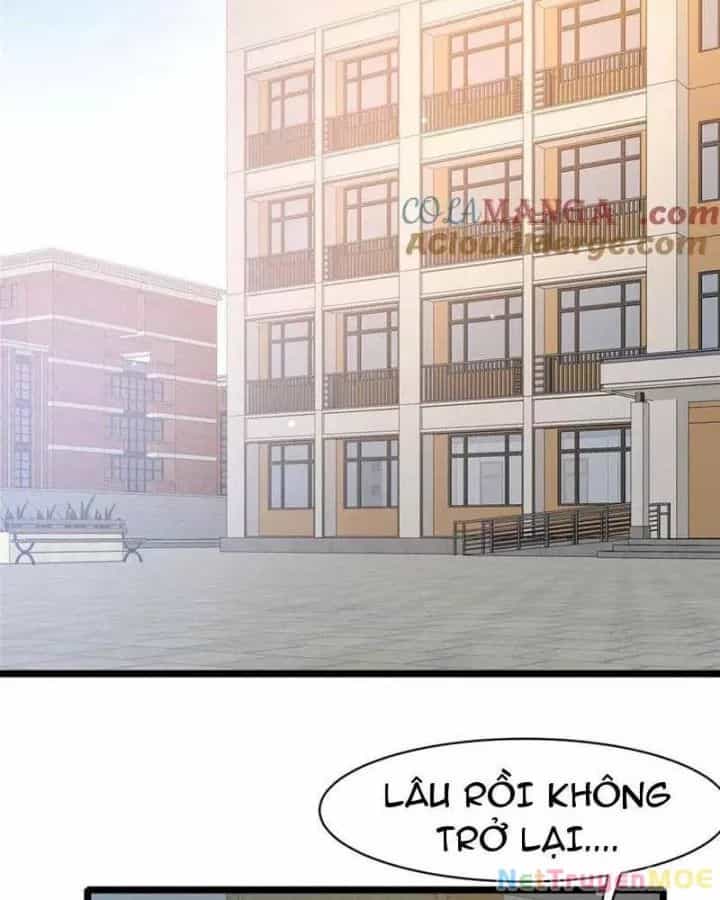 Đô Thị Cực Phẩm Y Thần - Chương 240 - ảnh 34