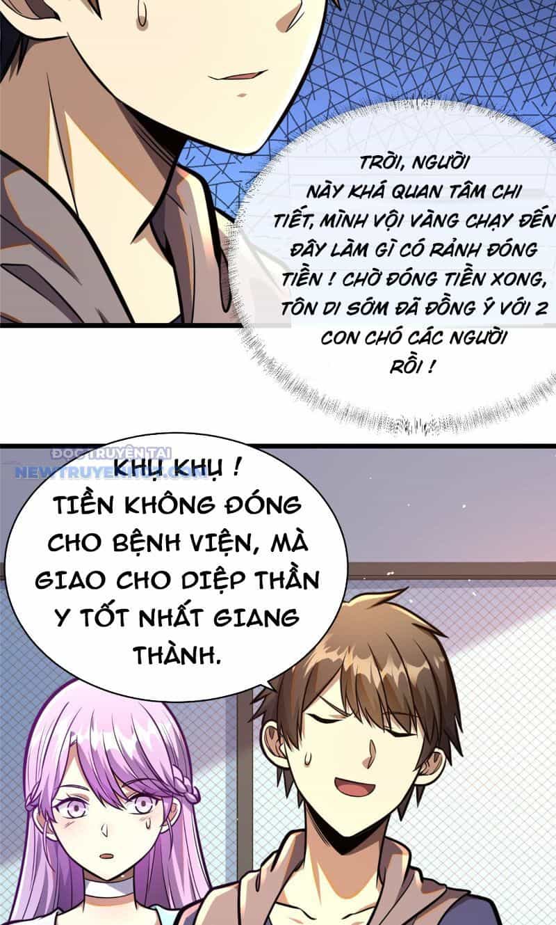 Đô Thị Cực Phẩm Y Thần - Chương 24 - ảnh 25