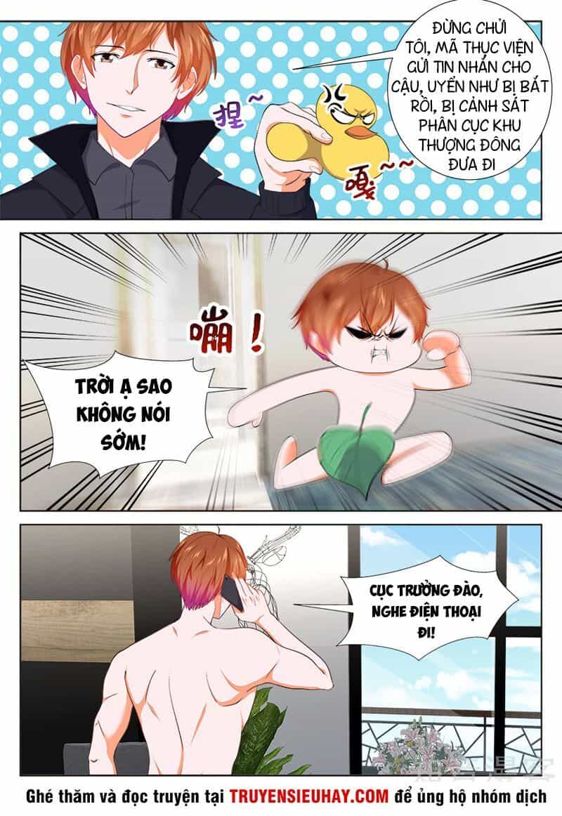 Đô Thị Kiêu Hùng Hệ Thống - Chương 247 - ảnh 11
