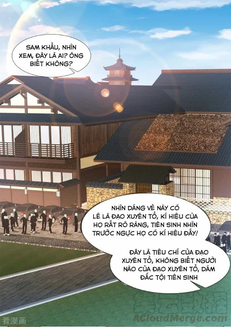 Đô Thị Kiêu Hùng Hệ Thống - Chương 330 - ảnh 5