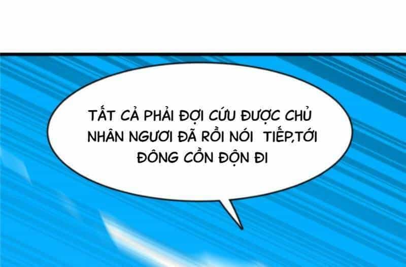 Độc Bộ Thiên Hạ: Đặc Công Thần Y - Chương 156 - ảnh 31