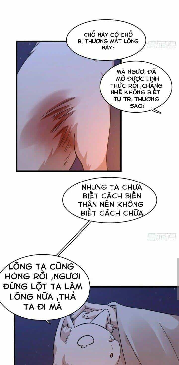 Độc Bộ Thiên Hạ: Đặc Công Thần Y - Chương 209 - ảnh 5