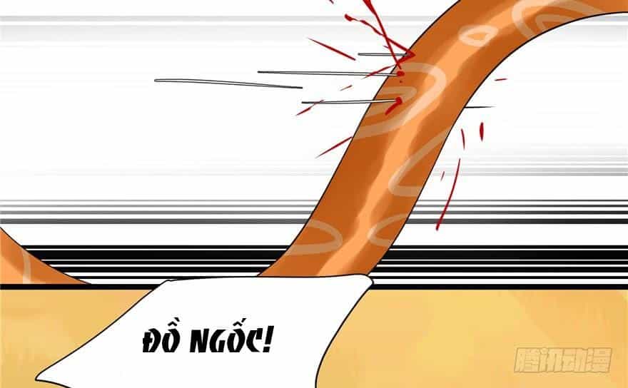 Độc Bộ Thiên Hạ: Đặc Công Thần Y - Chương 27 - ảnh 57