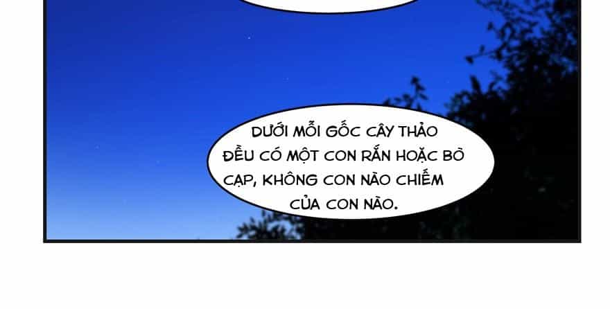 Độc Bộ Thiên Hạ: Đặc Công Thần Y - Chương 27 - ảnh 82