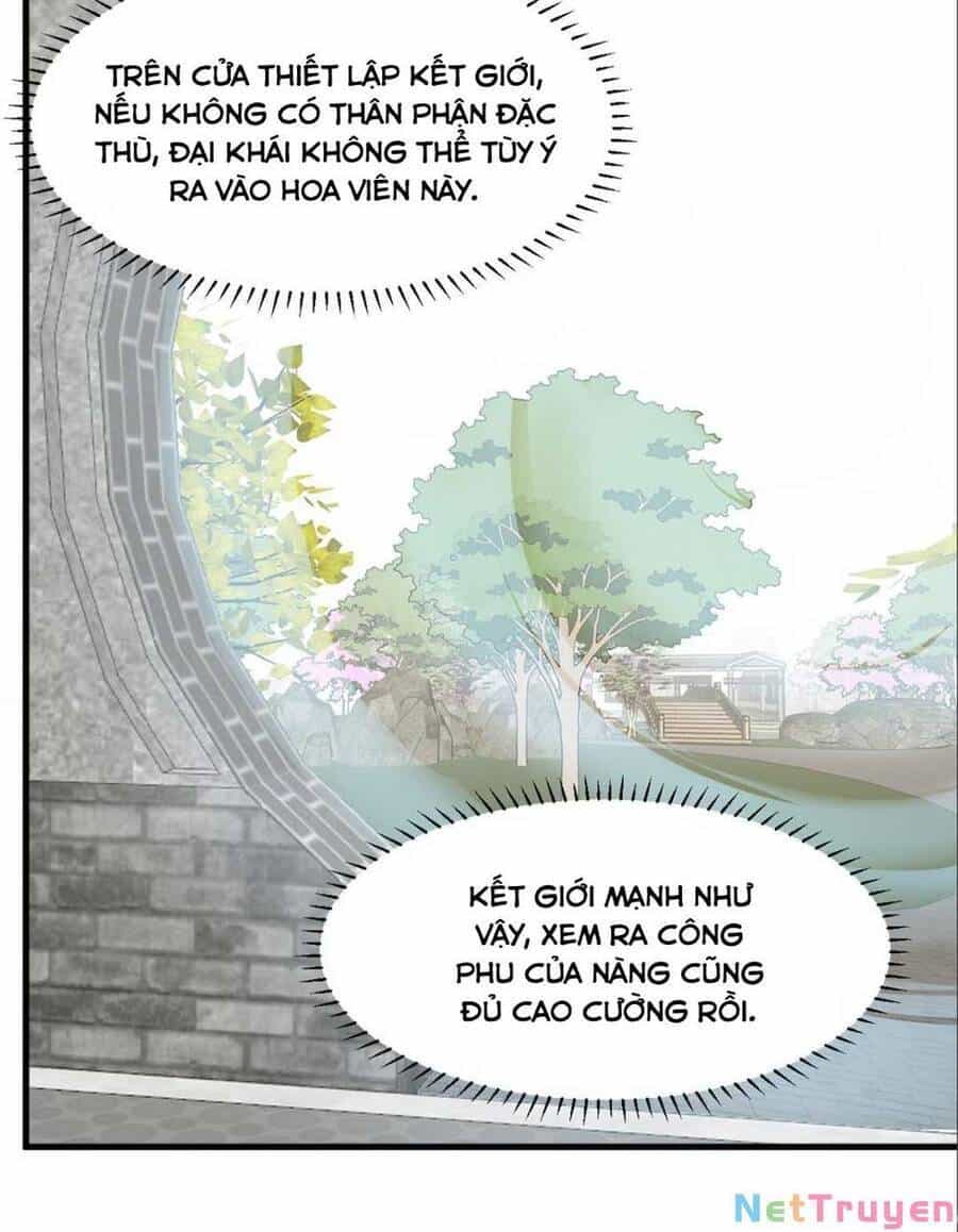 Độc Bộ Thiên Hạ: Đặc Công Thần Y - Chương 378 - ảnh 9