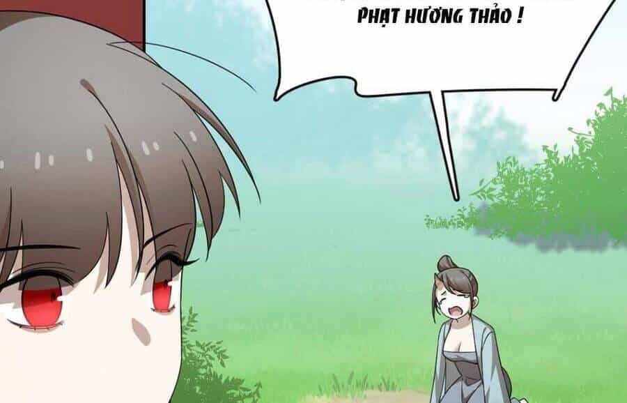 Độc Bộ Thiên Hạ: Đặc Công Thần Y - Chương 392 - ảnh 12