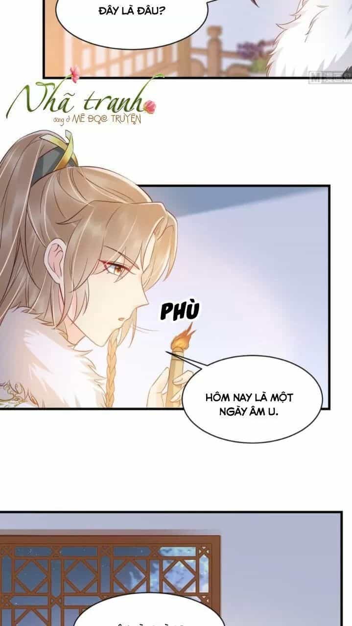 Độc Phi Ngu Ngốc Không Thể Chọc - Chương 145 - ảnh 11