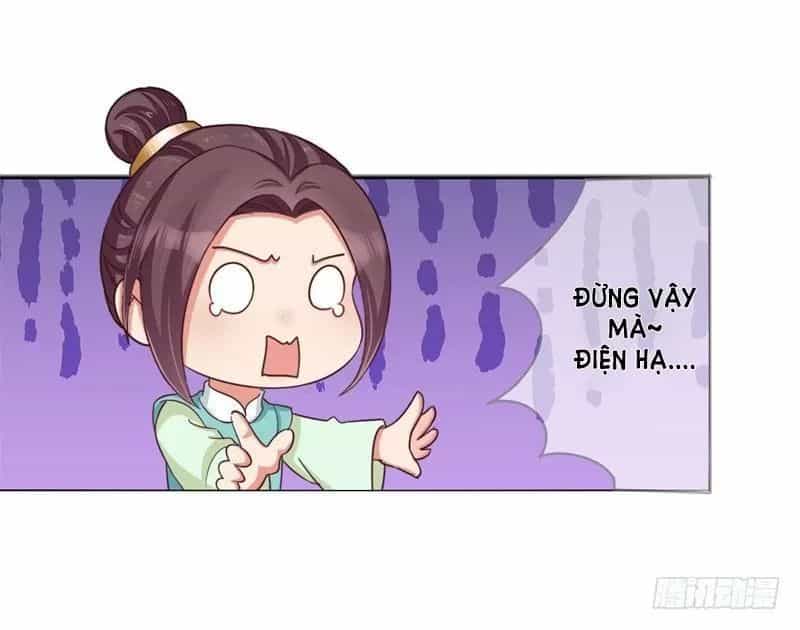 Độc Y Cuồng Phi - Chương 22 - ảnh 7