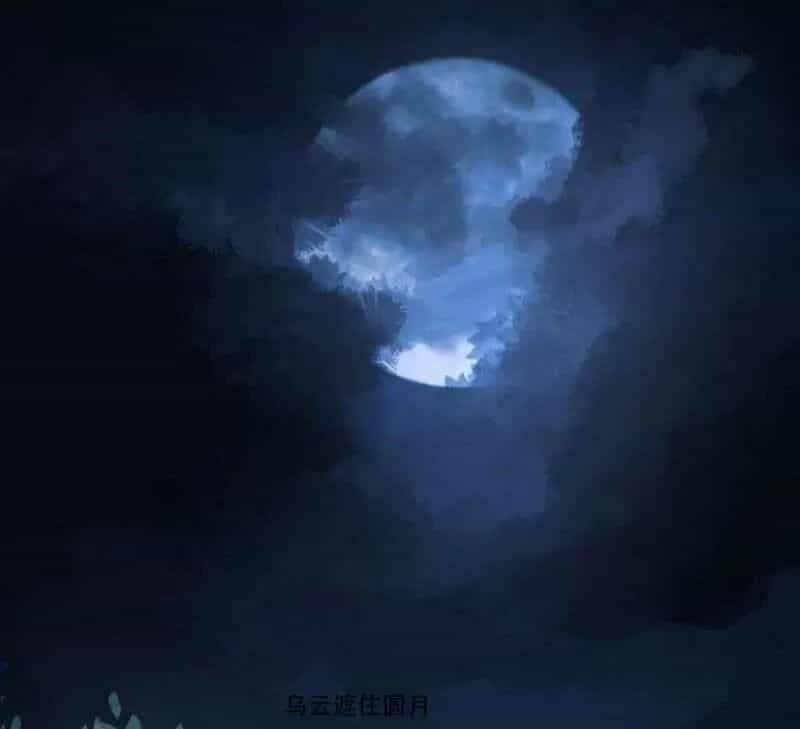 Độc Y Cuồng Phi - Chương 40 - ảnh 6