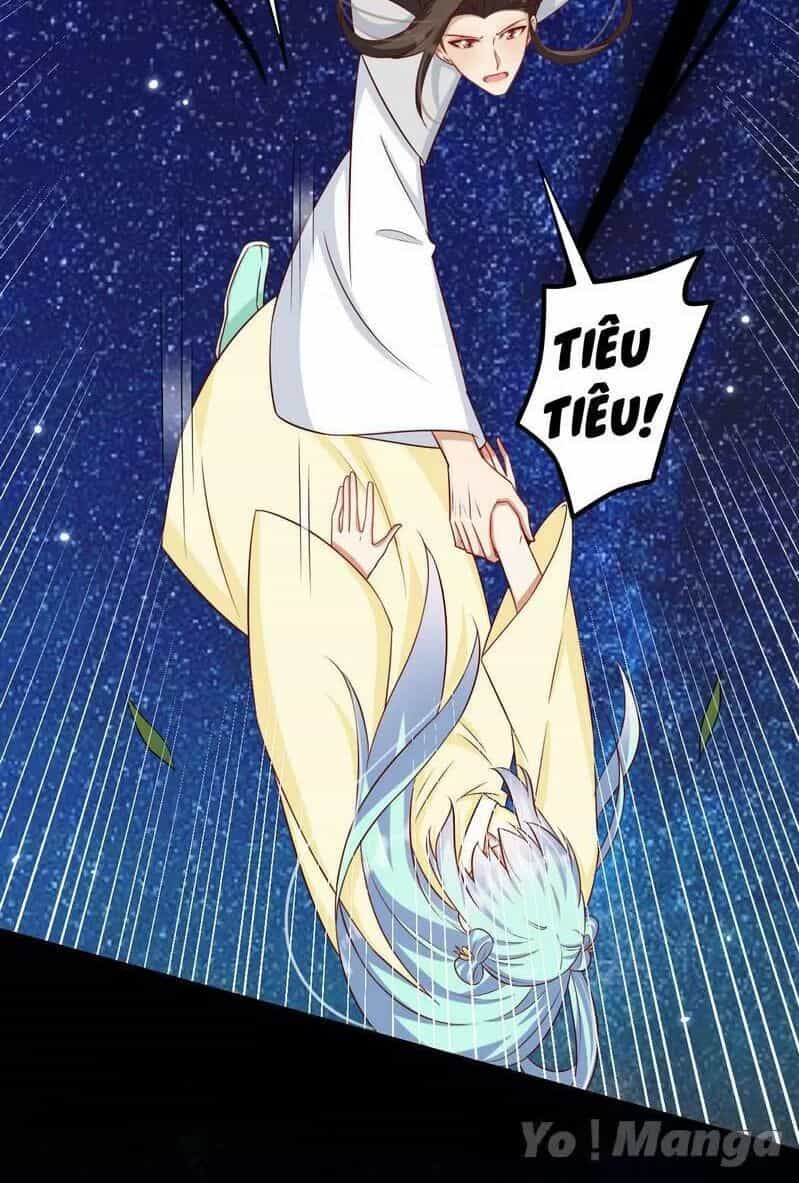 Độc Y Cuồng Phi - Chương 57 - ảnh 3