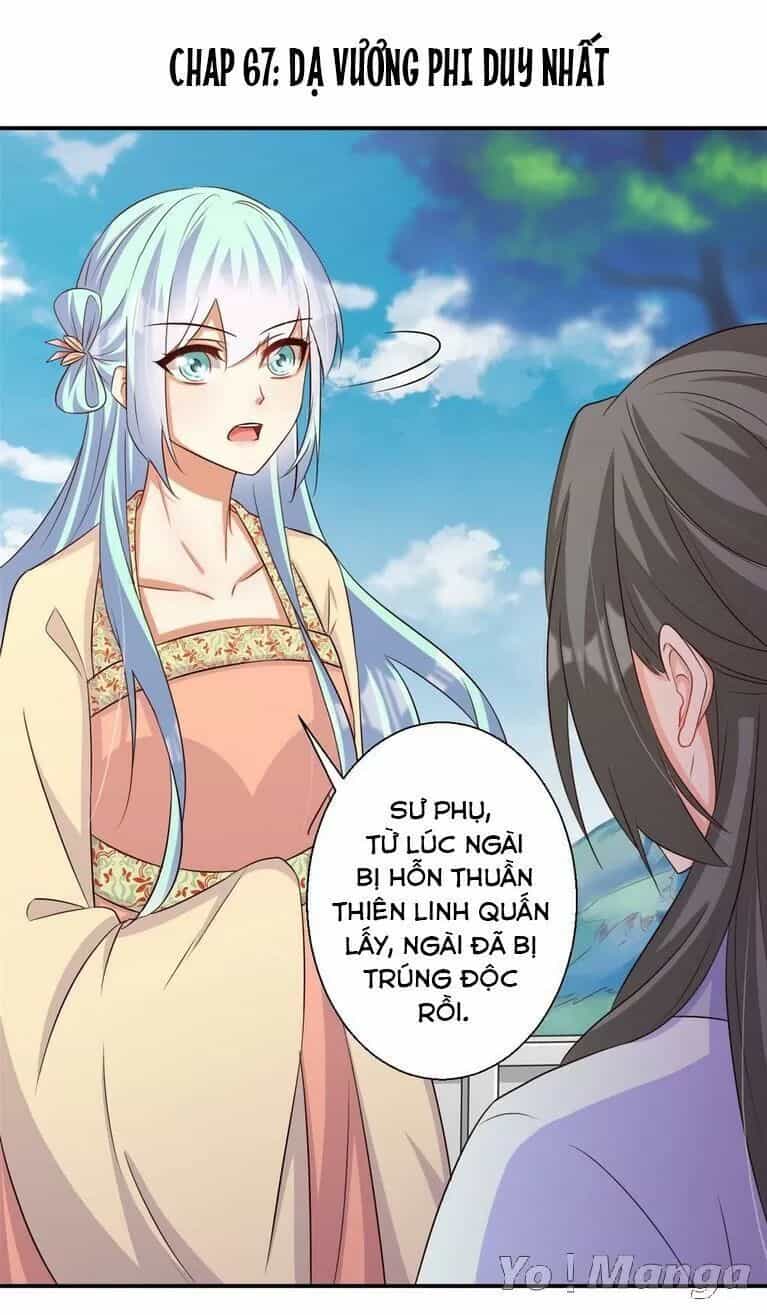 Độc Y Cuồng Phi - Chương 67 - ảnh 1