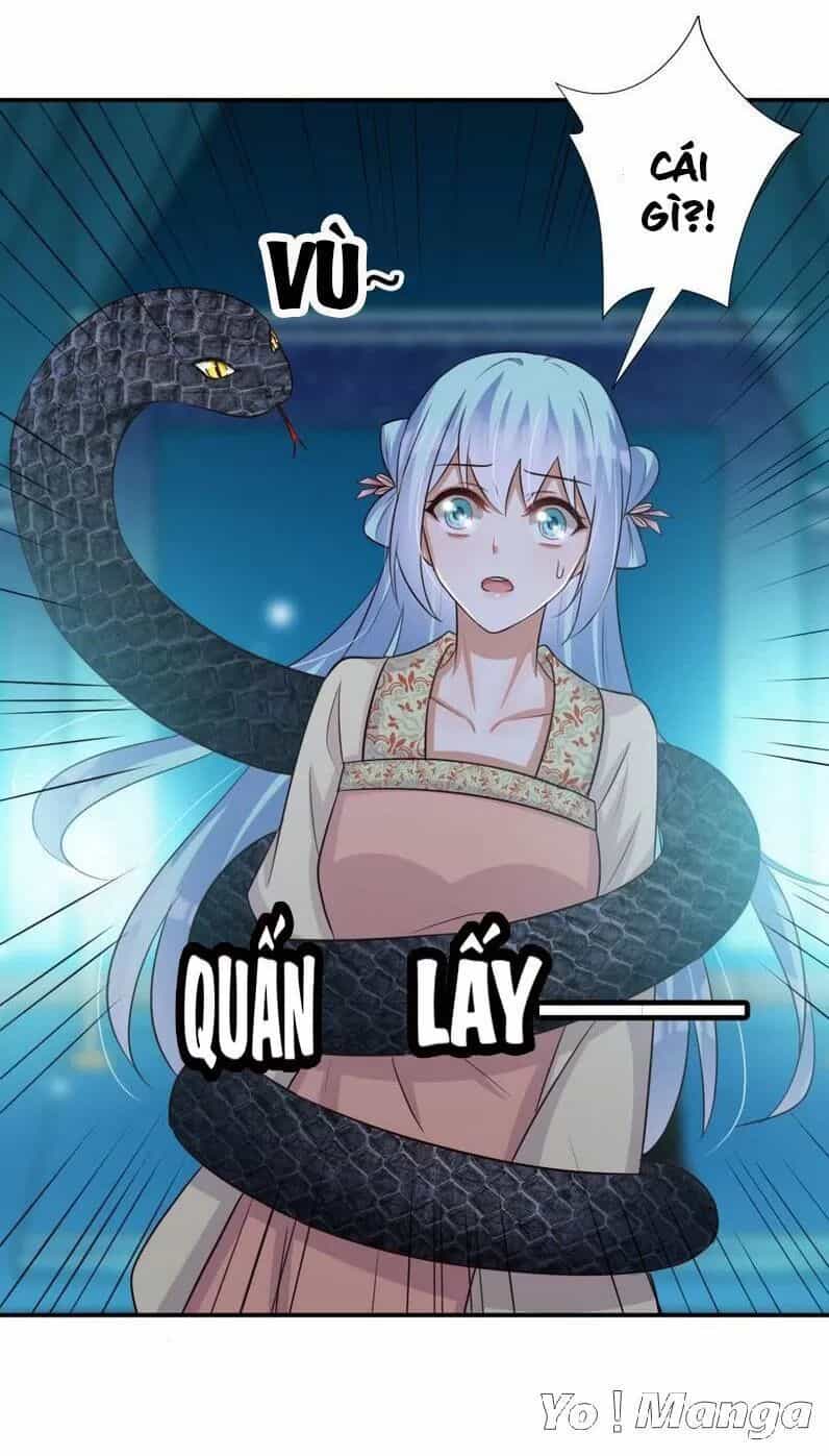 Độc Y Cuồng Phi - Chương 68 - ảnh 29