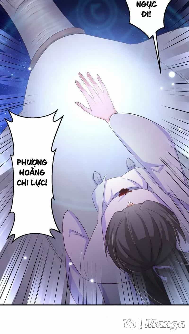 Độc Y Cuồng Phi - Chương 73 - ảnh 29