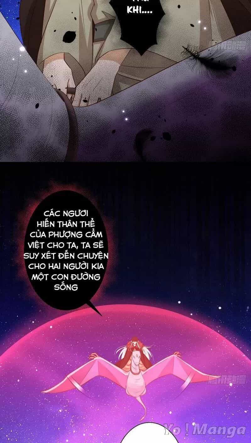 Độc Y Cuồng Phi - Chương 73 - ảnh 7