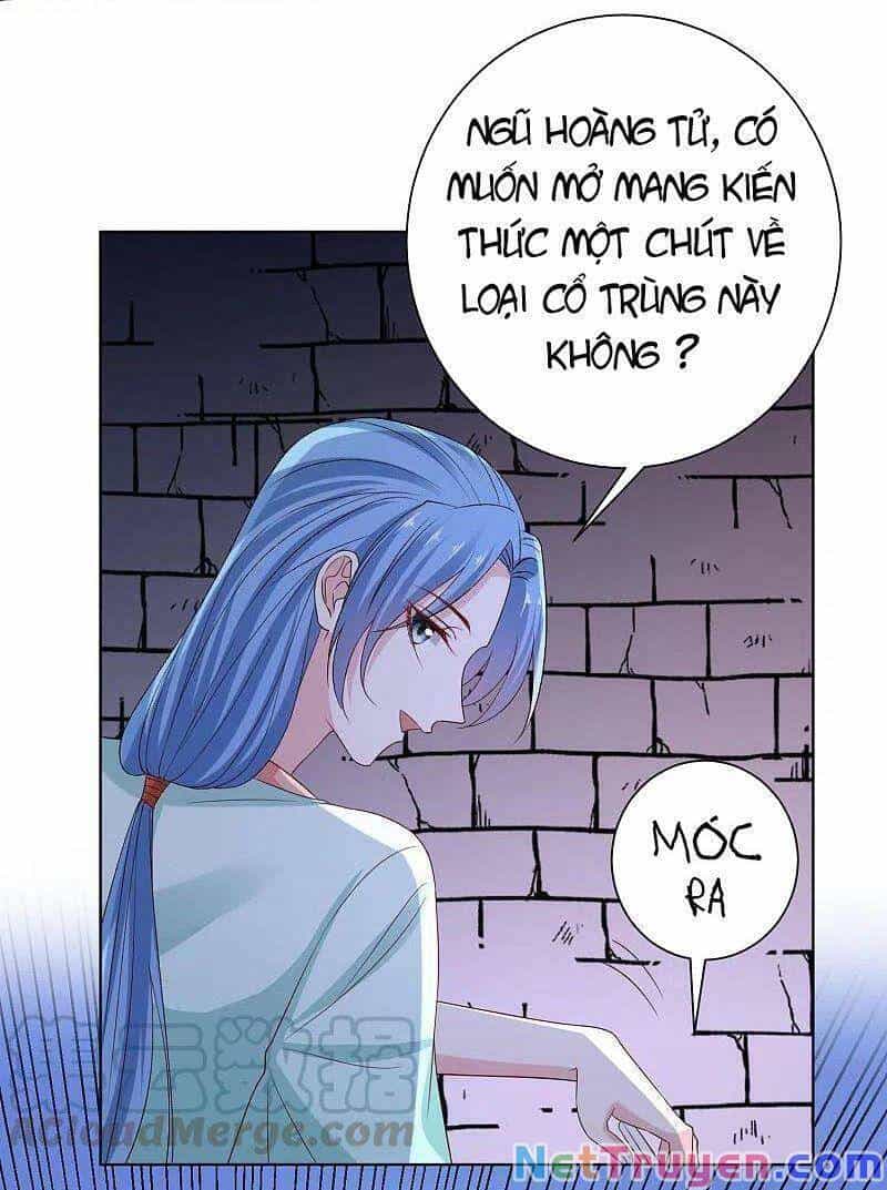 Độc Y Đích Nữ - Chương 210 - ảnh 30