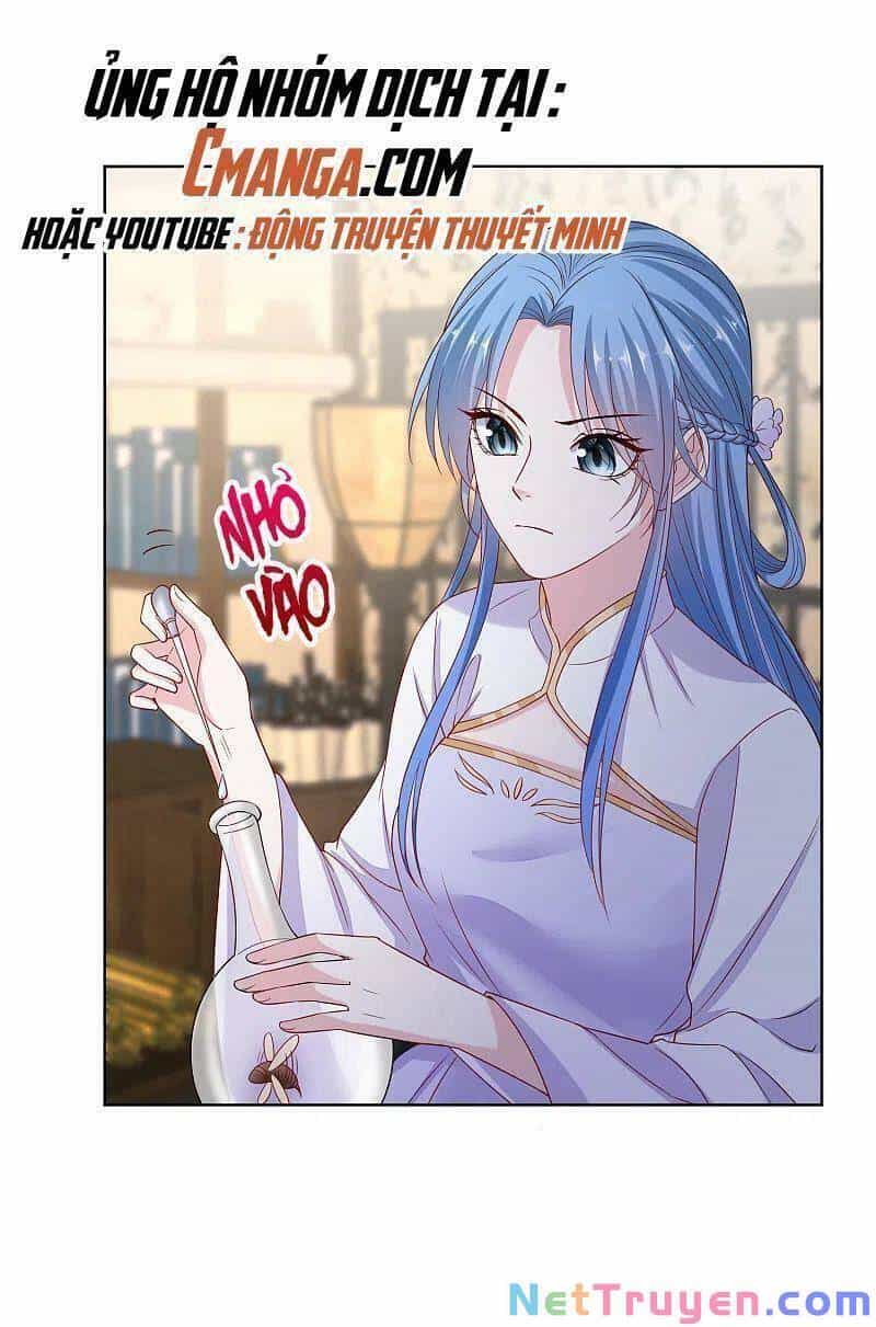 Độc Y Đích Nữ - Chương 212 - ảnh 8