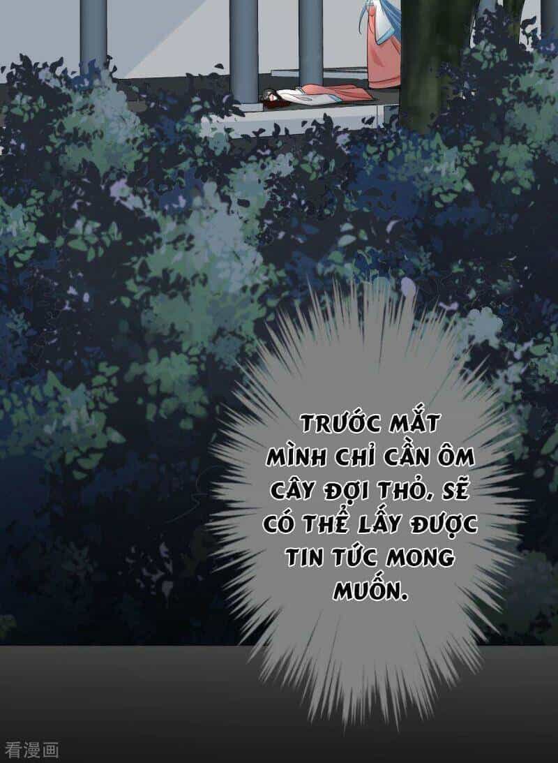 Độc Y Đích Nữ - Chương 28 - ảnh 25