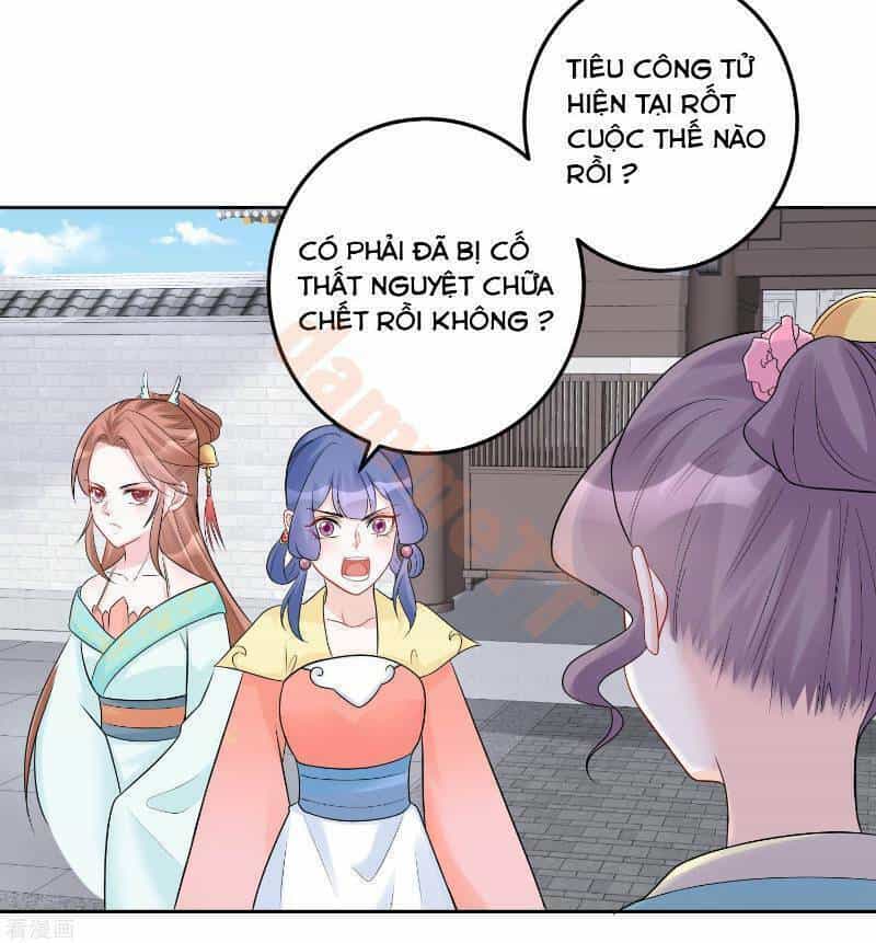 Độc Y Đích Nữ - Chương 74 - ảnh 13