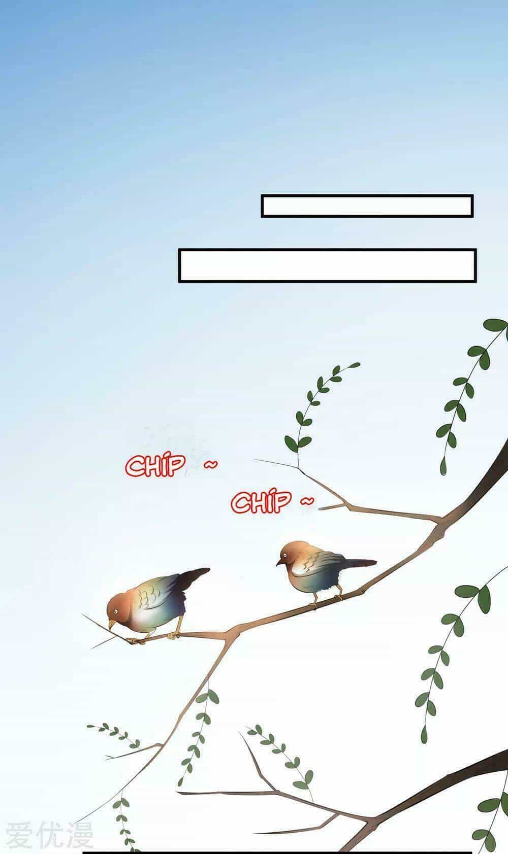 Độc Y Đích Nữ - Chương 8 - ảnh 31