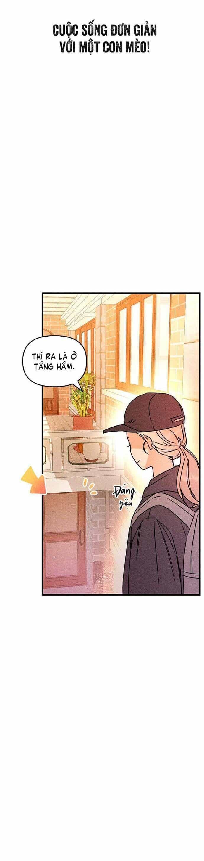 Đời Tư Của Chị Tôi - Chương 1 - ảnh 55