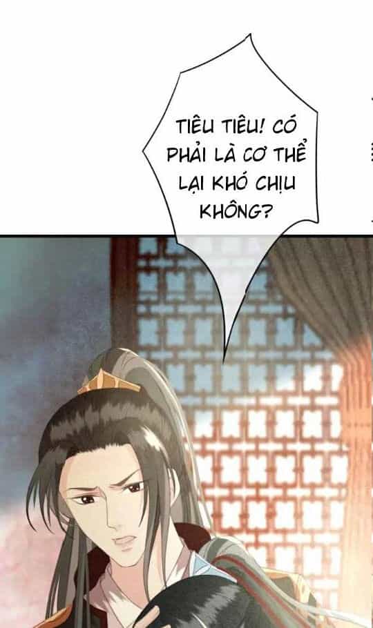 Đông Cung Giai Hạ Tù - Chương 29 - ảnh 12