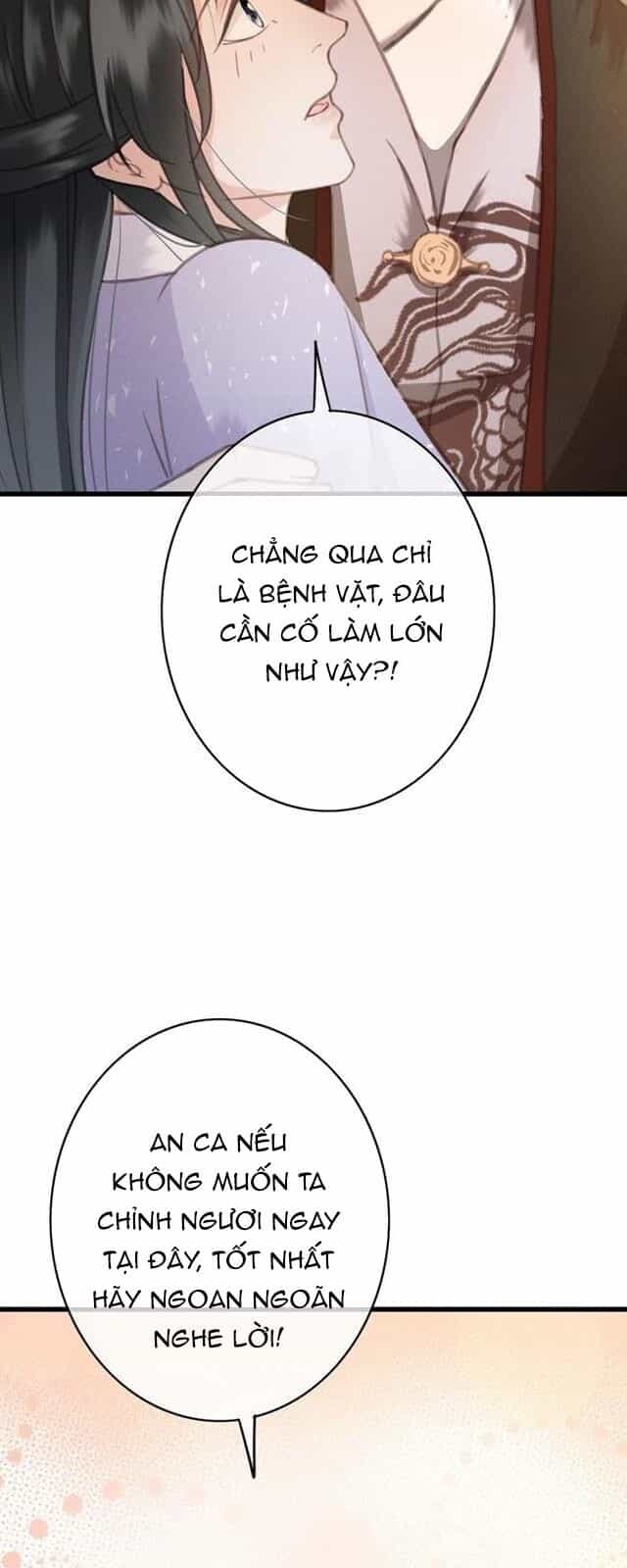 Đông Cung Giai Hạ Tù - Chương 41 - ảnh 13