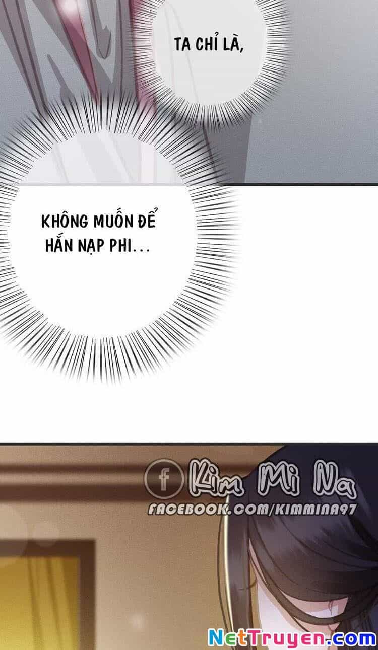 Đông Cung Giai Hạ Tù - Chương 55 - ảnh 14