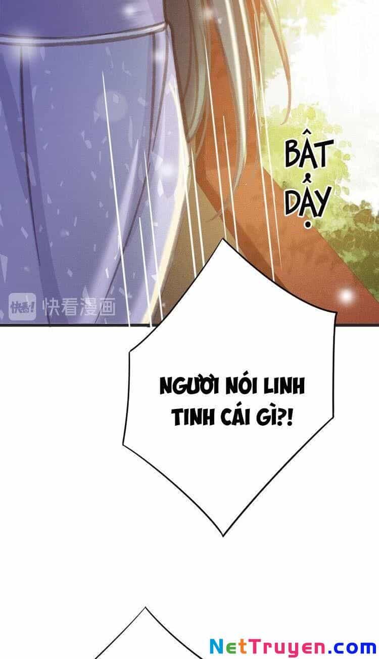 Đông Cung Giai Hạ Tù - Chương 56 - ảnh 6