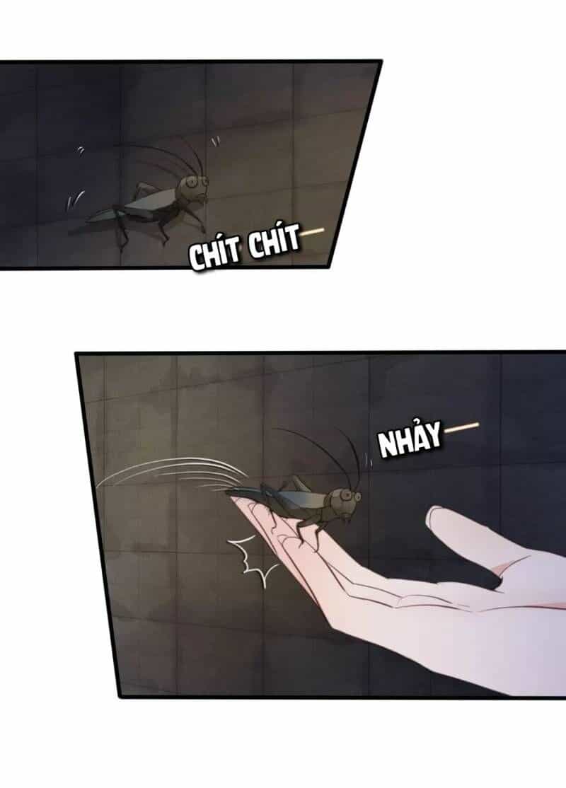 Đông Cung Giai Hạ Tù - Chương 7 - ảnh 20