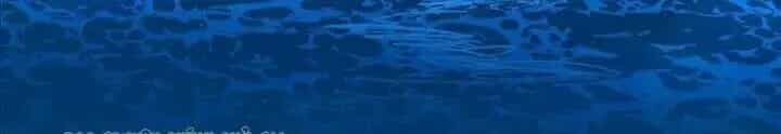 Đồng Hành Cùng Tử Vong: Bắt Đầu Với Ngư Nhân Địa Hạ Thành - Chương 39 - ảnh 50
