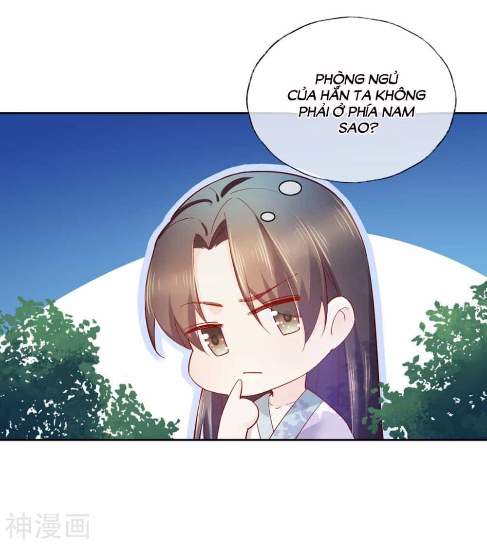 Dòng Máu Ngọt Ngào - Chương 13 - ảnh 16
