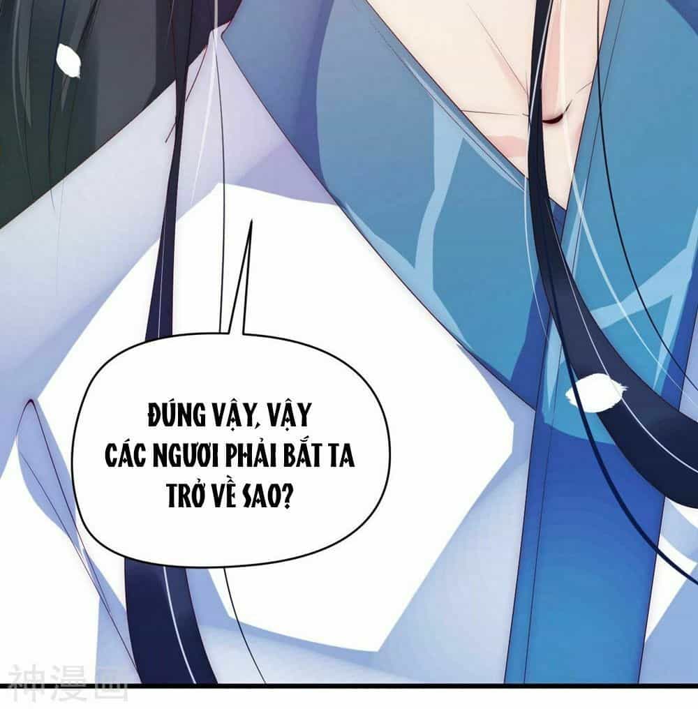 Dòng Máu Ngọt Ngào - Chương 2 - ảnh 50