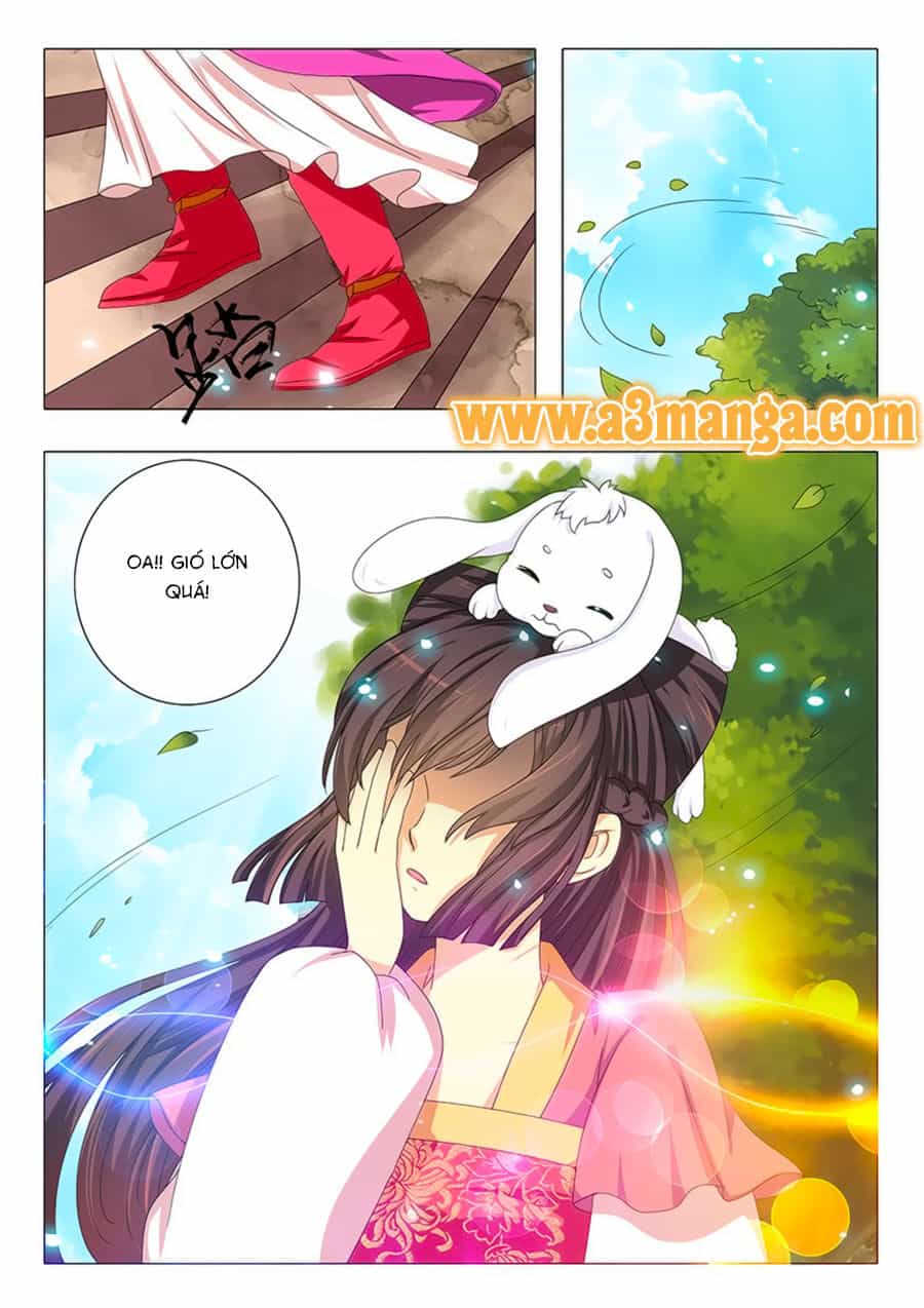Đống Phù Đã Khai Quang - Chương 15 - ảnh 4