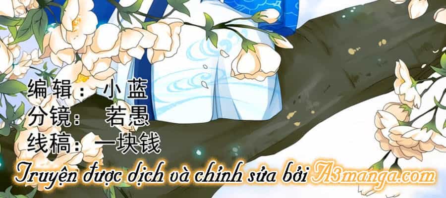 Đống Phù Đã Khai Quang - Chương 2 - ảnh 2