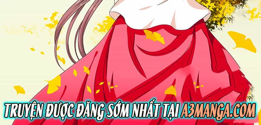 Đống Phù Đã Khai Quang - Chương 33 - ảnh 2