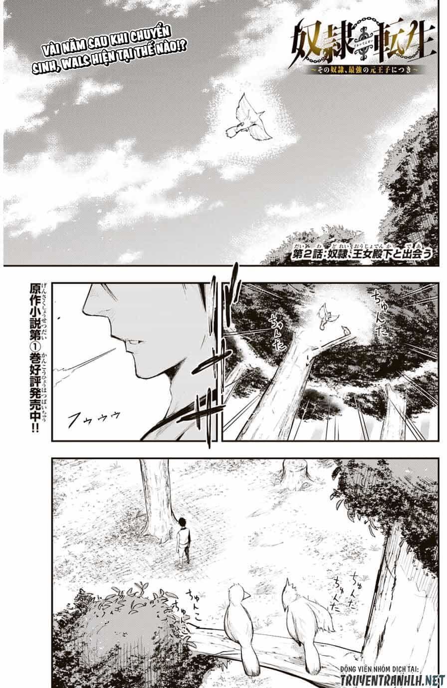 Dorei Tensei: Sono Dorei, Saikyou No Moto Ouji Ni Tsuki - Chương 2 - ảnh 3