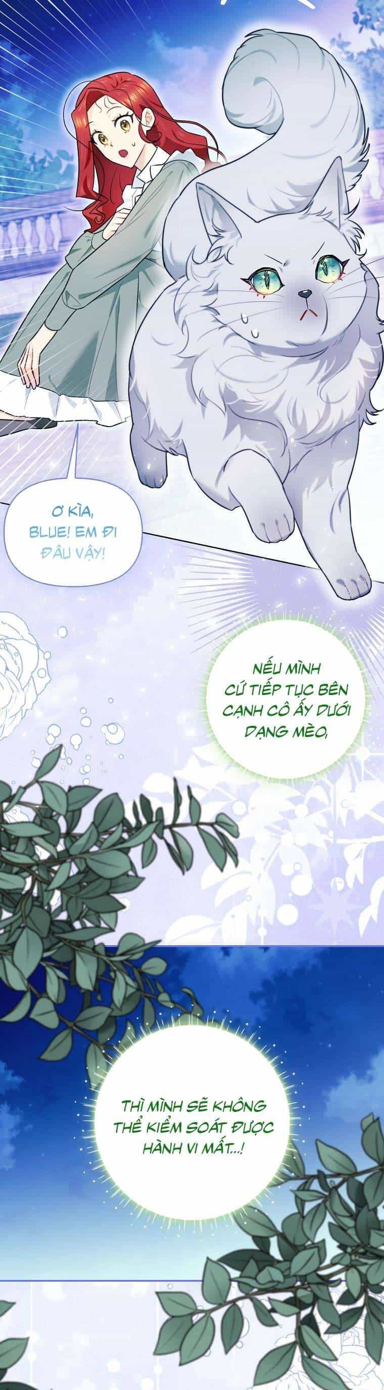 Dù Là Ác Nữ Nhưng Tôi Vẫn Phải Chăm Sóc Mèo - Chương 13 - ảnh 13