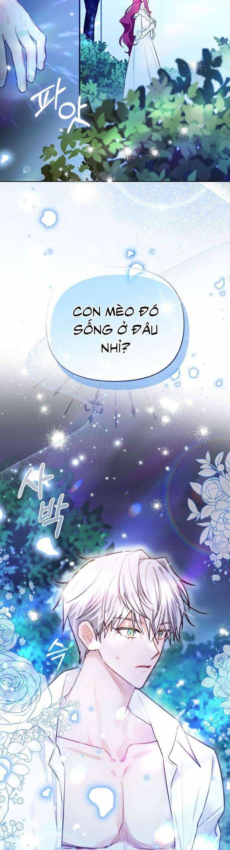 Dù Là Ác Nữ Nhưng Tôi Vẫn Phải Chăm Sóc Mèo - Chương 7 - ảnh 39
