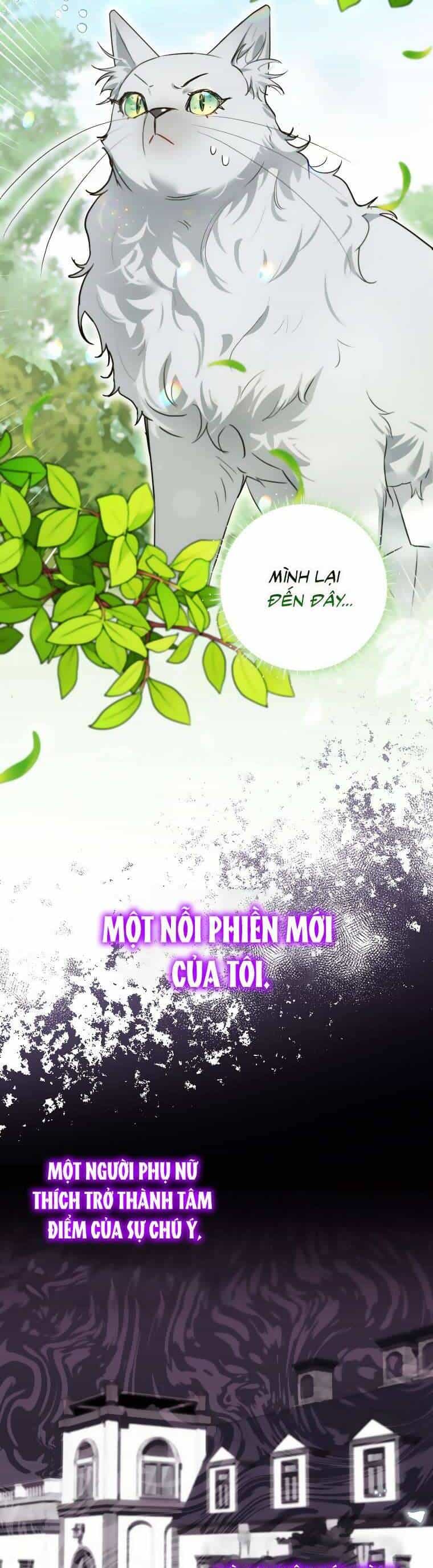 Dù Là Ác Nữ Nhưng Tôi Vẫn Phải Chăm Sóc Mèo - Chương 9 - ảnh 17