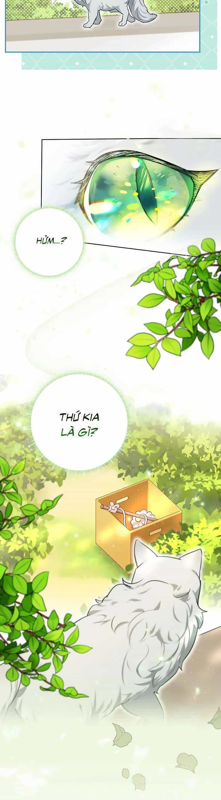 Dù Là Ác Nữ Nhưng Tôi Vẫn Phải Chăm Sóc Mèo - Chương 9 - ảnh 19