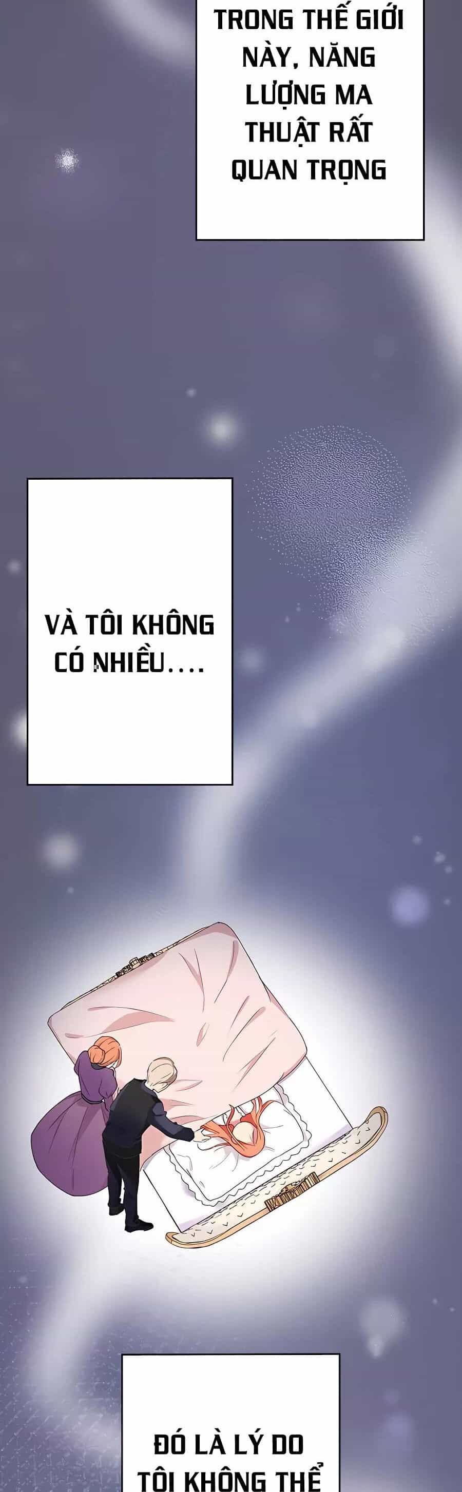 Dù Tôi Trở Thành Nhân Vật Phụ, Tôi Được Yêu Chiều Bởi Công Tước Thích Bảo Vệ Quá Mức - Chương 1.5 - ảnh 3