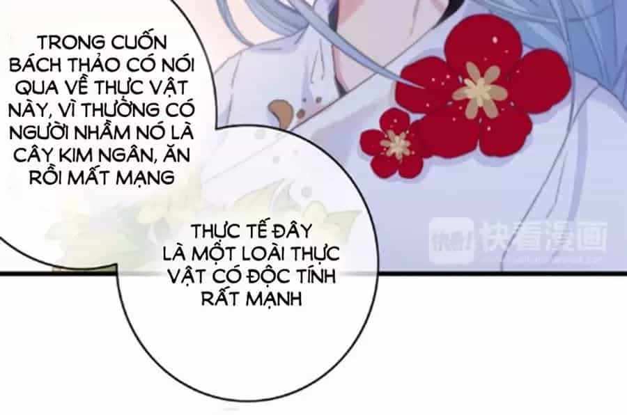 Dữ Tử Thành Thuyết - Chương 25 - ảnh 34