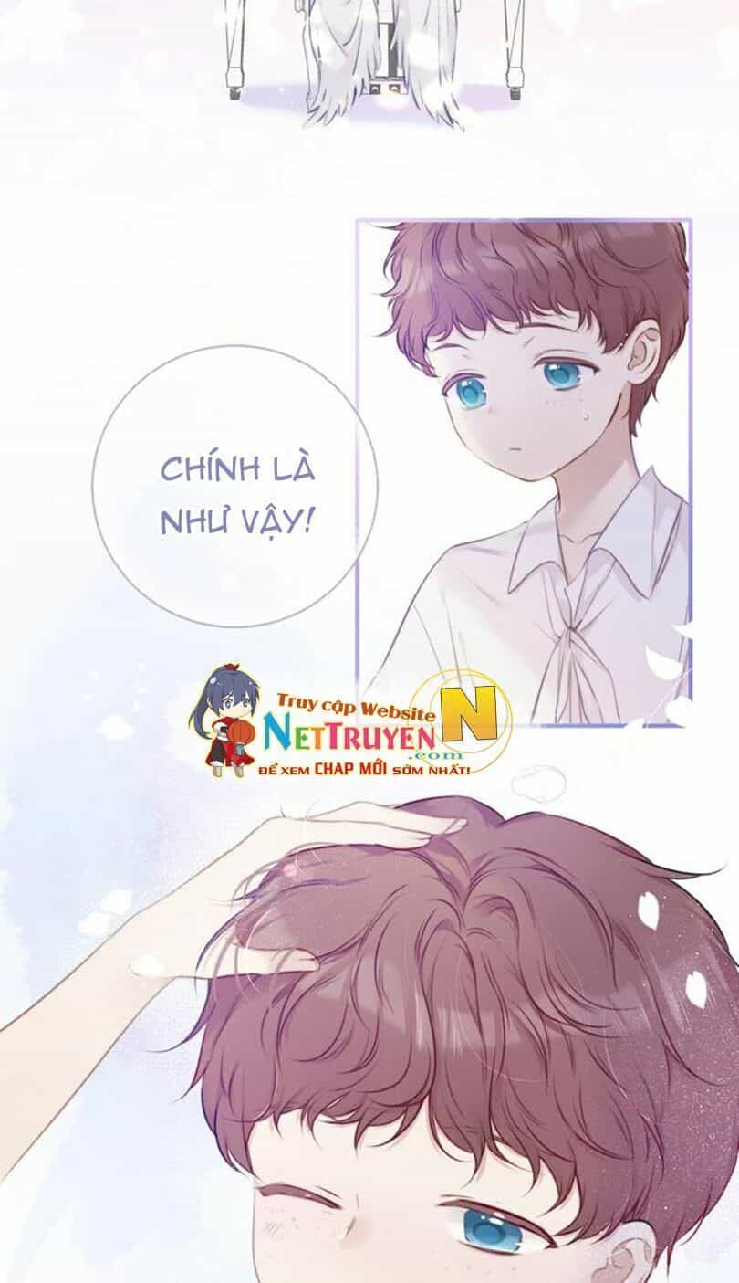 Đừng Để Tôi Bảo Vệ - Chương 22 - ảnh 19