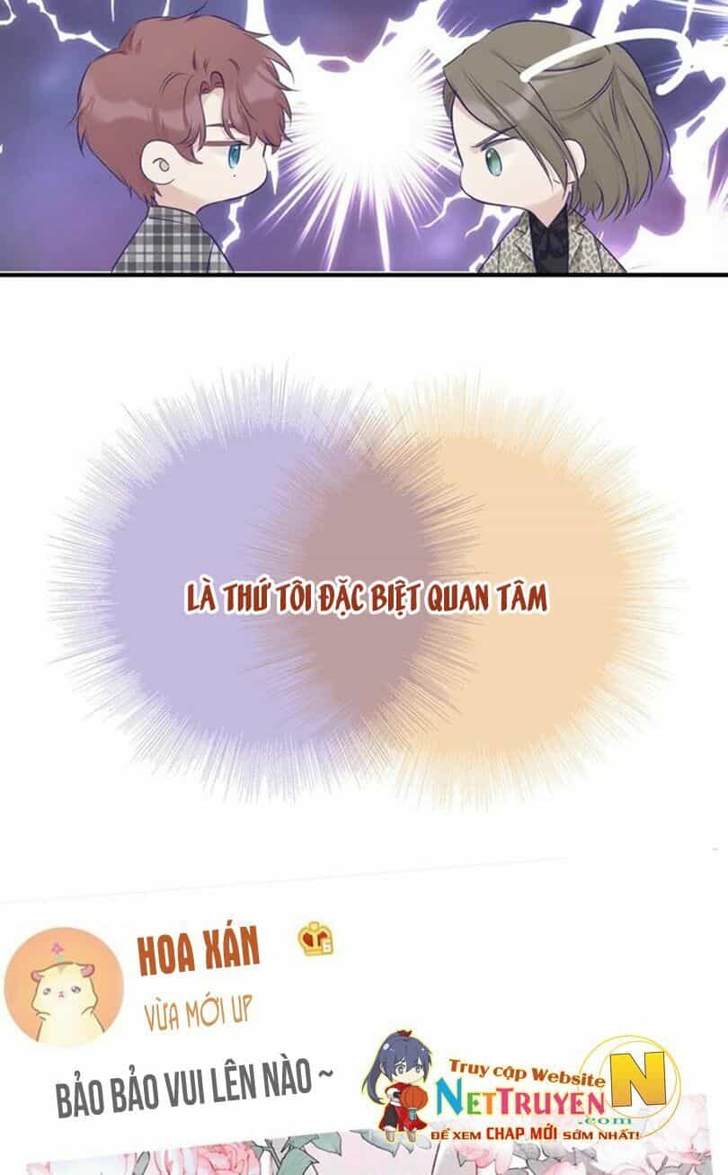 Đừng Để Tôi Bảo Vệ - Chương 26 - ảnh 25