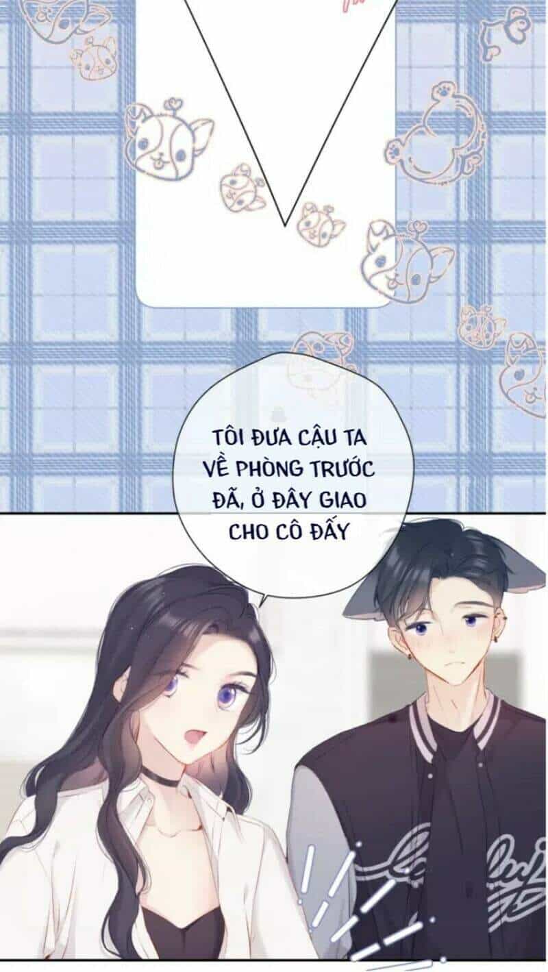Đừng Để Tôi Bảo Vệ - Chương 132 - ảnh 9