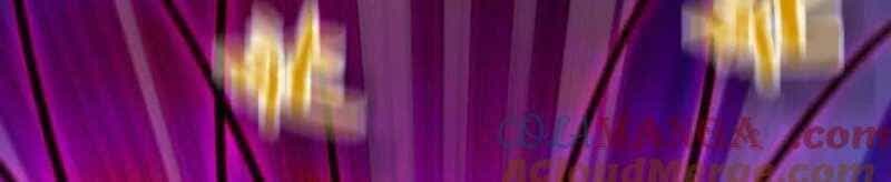Dũng Giả X Nữ Ma Vương - Chương 93 - ảnh 156